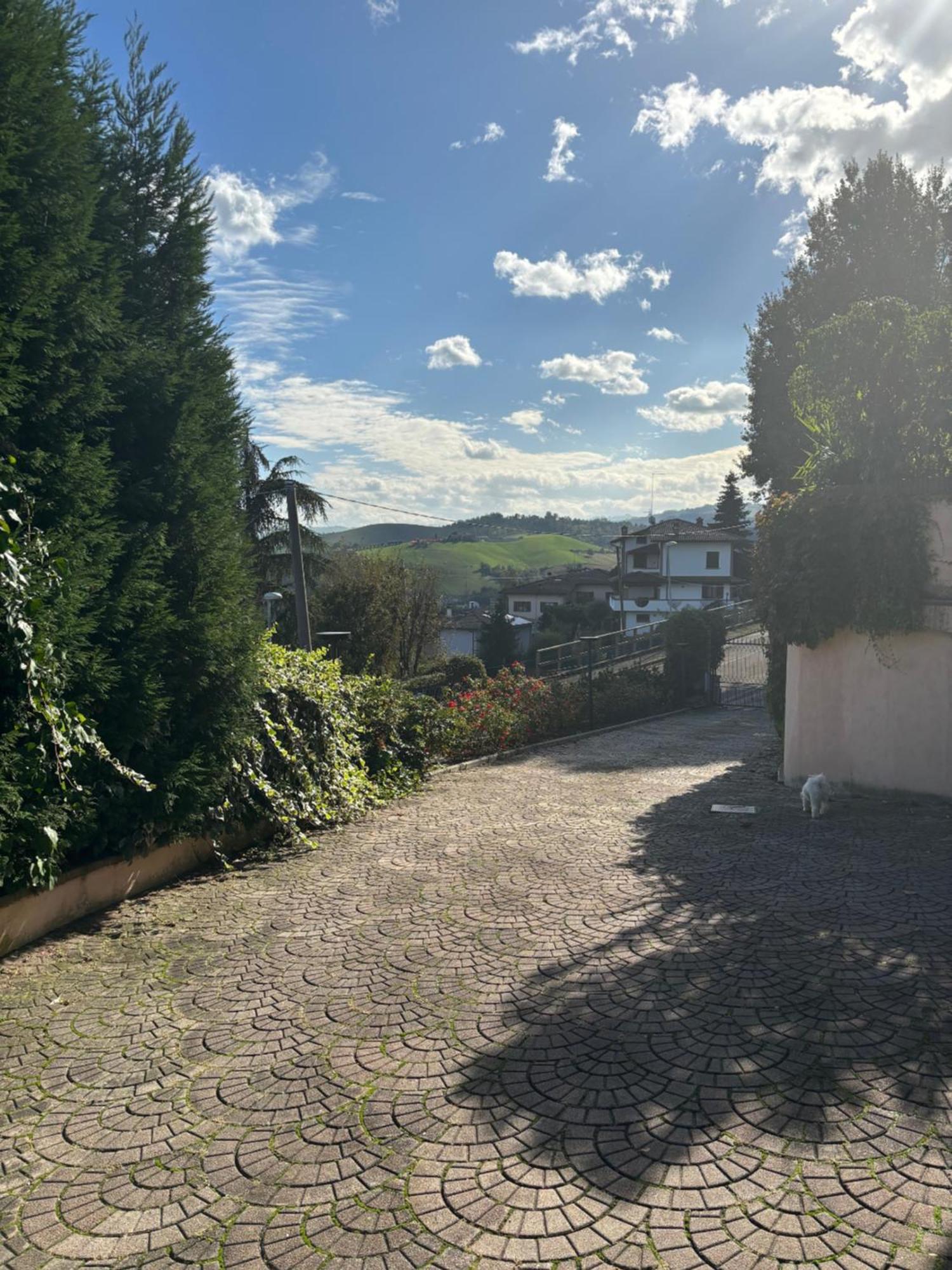 Isella Maranello